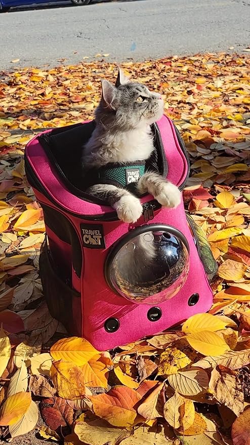 Fat Cat Backpack Carrier - Airline Approved Cat Carrier with Space Capsule Bubble for for Small Cats, Kitten - Premium Deep Rose Pink Cat Carrier Backpack for Outdoor, Travel, Hiking, Pet Supplies