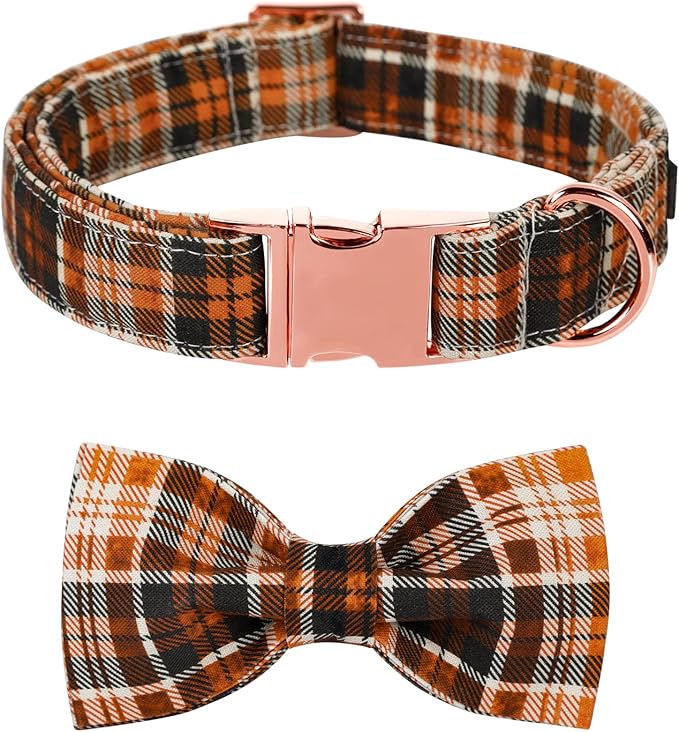 Lionet Paws Halloween Dog Collar with Bowtie 13.5-22in