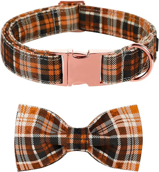Lionet Paws Halloween Dog Collar with Bowtie 16-24in