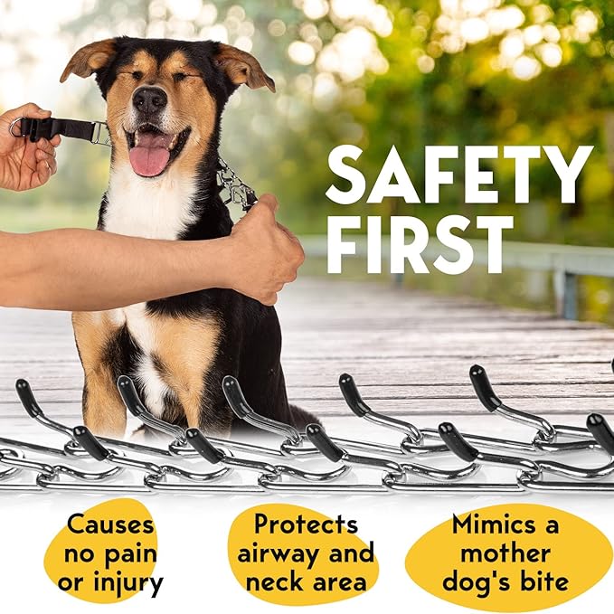 Prong Collar for Dogs