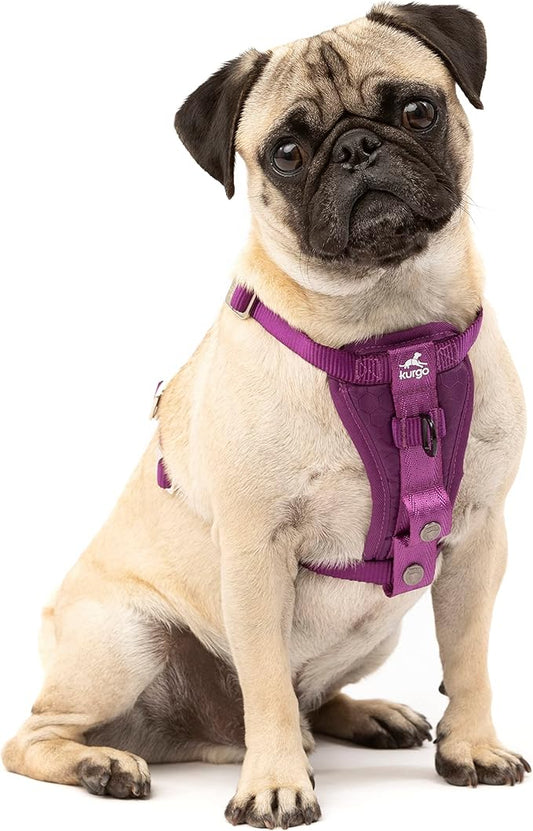 Kurgo Tru-Fit Enhanced Strength Dog Harness - Crash Tested Car Safety Harness for Dogs, No Pull Dog Harness, includes Pet Safety Seat Belt, Steel Nesting Buckles (Deep Violet, Small)