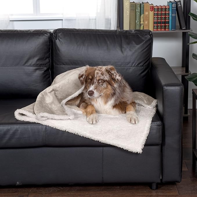 Furhaven Waterproof & Self-Warming Throw Blanket for Dogs & Indoor Cats