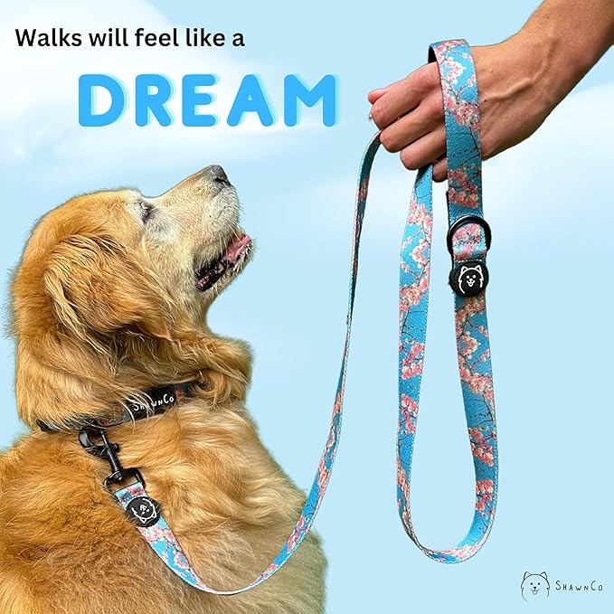 ShawnCo Dream Walk Dog Leash- Premium, Nylon Pet Leash with Soft Neoprene Handle for Small, Medium and Large Dogs (USA Flag, Small)