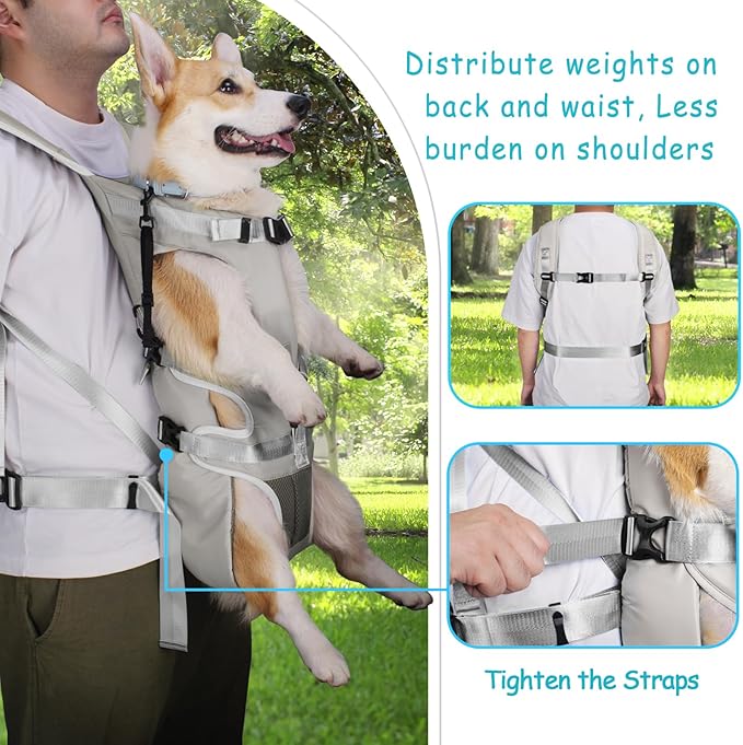 PetBonus Pet Front Dog Carrier Backpacks, Adjustable Dog Backpack Carrier, Legs Out Easy-fit Dog Chest Carrier for Medium Small Dogs, Hands Free Dog Front Carrier for Hiking, Cycling (Grey, XL)