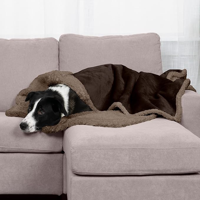 Furhaven Waterproof & Self-Warming Throw Blanket for Dogs & Indoor Cats