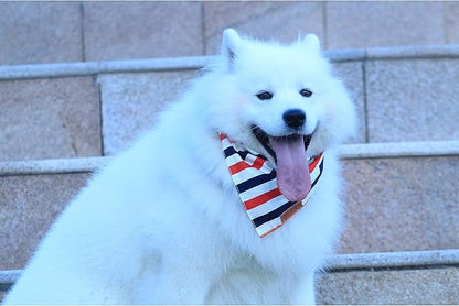 Realeaf 4th of July Dog Bandanas 2 Pack