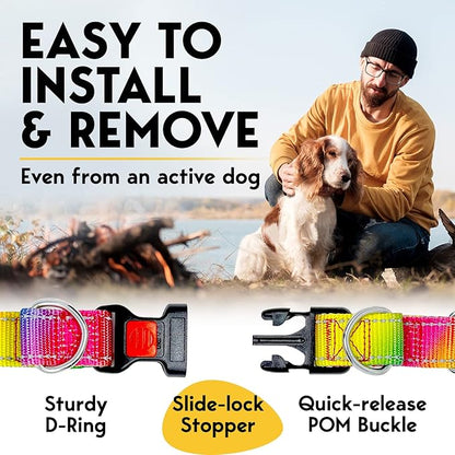 Prong Collar for Dogs