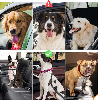 Dog Seat Belt with Elastic Bungee Buffer