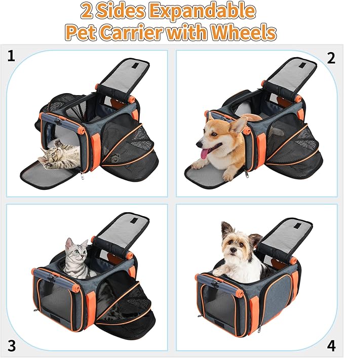 LOOBANI Pet Carrier with Wheels, Large Pet Carrier Not Airline Approved for Small & Medium Dogs Puppy Up to 25 LBS Dog Carrier, Cat Carrier Go Out Convenient and Easy Travel Vet Visit (20"x13"x13")