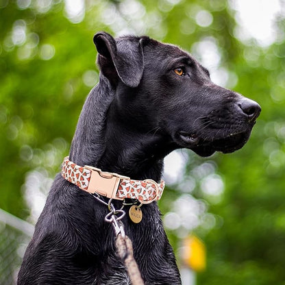 Cotton Dog Collar Metal Buckle Daisy Summer S(10-14in))