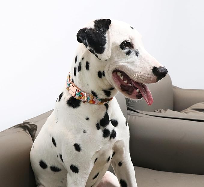 Unique style paws Dog Collar Metal Buckle Collar