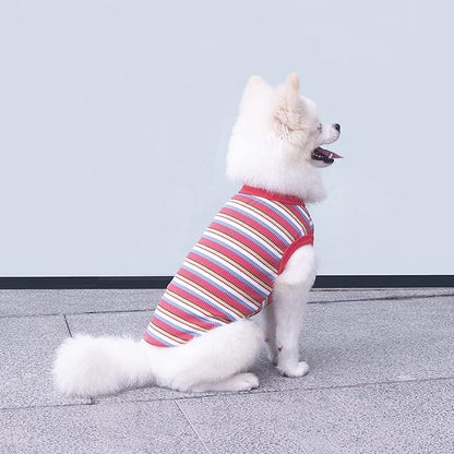 Striped Teacup Pet Dog T-Shirts 100% Cotton