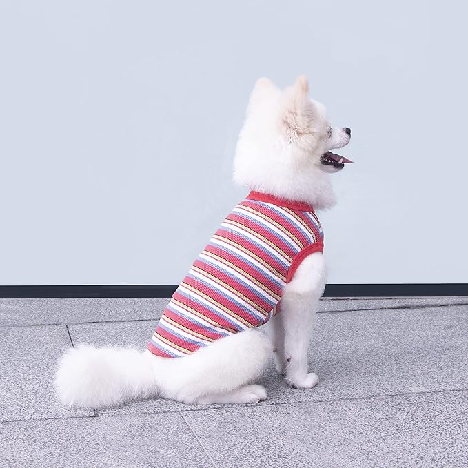 Striped Teacup Pet Dog T-Shirts 100% Cotton 3X-Small