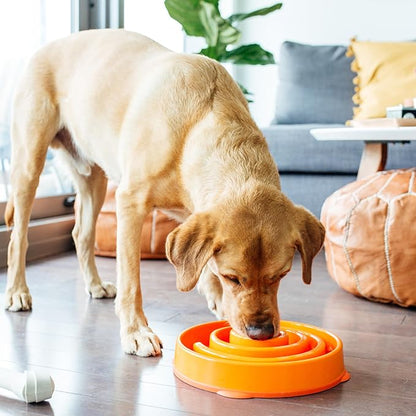 Outward Hound Fun Feeder Slo Bowl, Slow Feeder Dog Bowl, Large/Regular, Orange