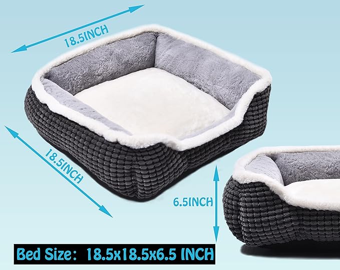 Dog Beds for Small Dogs