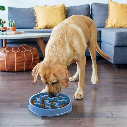 Outward Hound Fun Feeder Slo Bowl, Slow Feeder Dog Bowl, Large/Regular, Blue