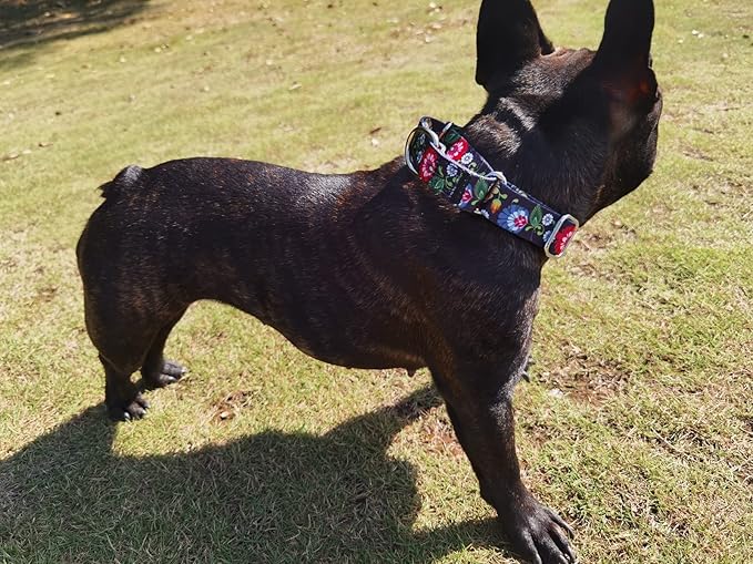 Martingale Dog Collars - Flower Multicolor Cute Patterns, Adjustable Nylon Training Dog Collar Suitable for Boy and Girl Dogs Medium Large Dogs (XL, Black)