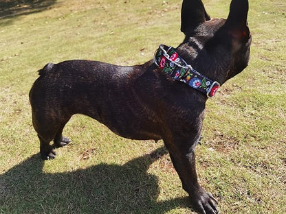 Martingale Dog Collars - Flower Multicolor Cute Patterns, Adjustable Nylon Training Dog Collar Suitable for Boy and Girl Dogs Medium Large Dogs (XL, Black)