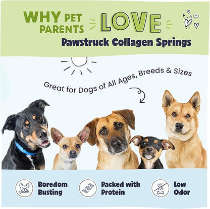 Pawstruck Natural Large Collagen Stick Springs for Dogs - Vet-Approved Long Lasting Alternative to Traditional Rawhide & Bully Sticks w/Glucosamine & Chondroitin - 4 Pack - Packaging May Vary