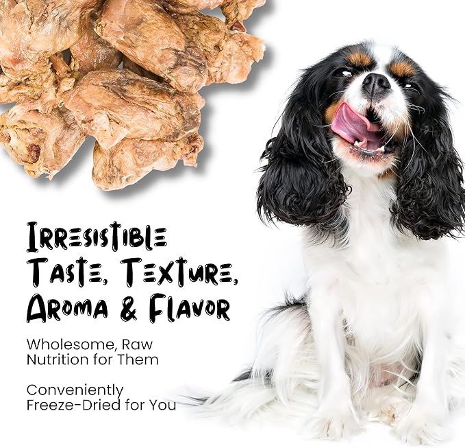 Freeze Dried Dog Treats, Duck Hearts for Cats and Dogs - 1LB Big Bag Single Ingredient All Natural Grain-Free, High Protein, Made in USA - Perfect for Training, Topper or Snack