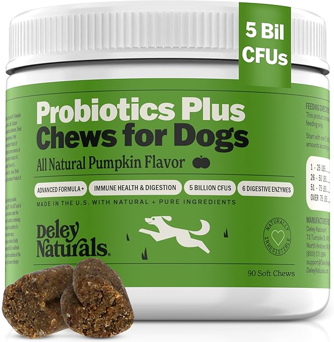 Deley Naturals Probiotics Plus Chews for Dogs, Gut Health Supplement, 5 Billion CFU's, Digestive Enzymes, Prebiotics, Dog Allergies, Diarrhea, Yeast, Pumpkin Flavor, 90 Count - Made in The USA