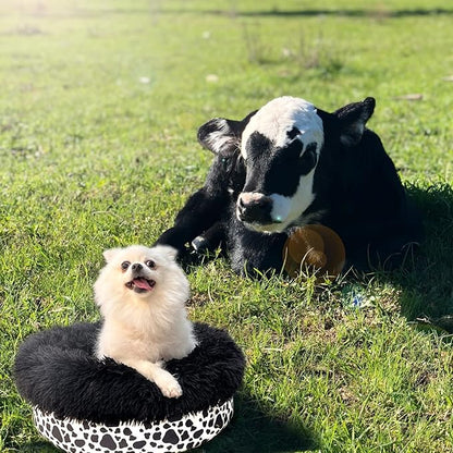 Cow Print Dog Bed for Small Size Dogs Washable