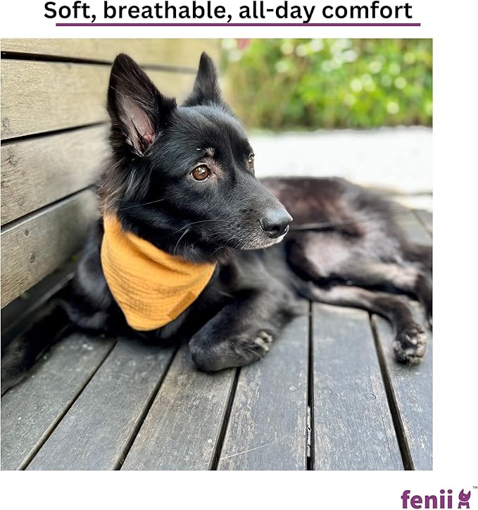 Premium Cotton Dog Bandanas 2 Pack