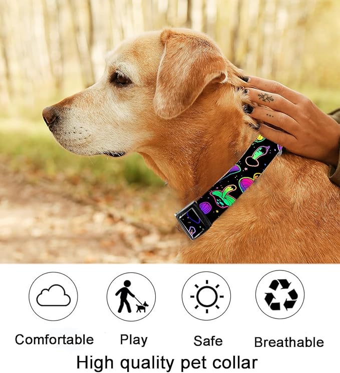 Dog Collar