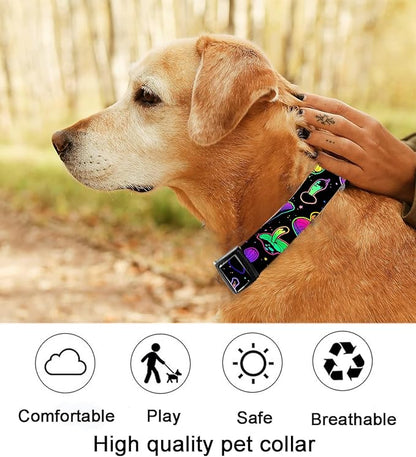 Dog Collar