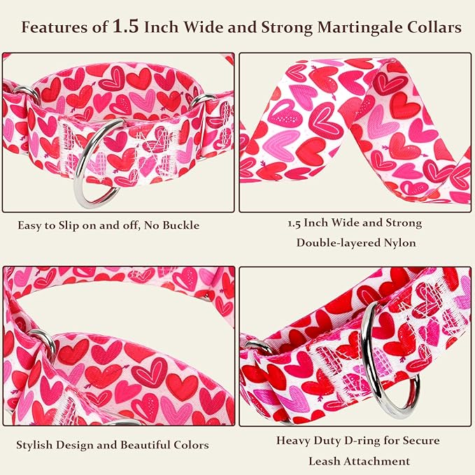 1.5 Inches Wide Martingale Dog Collar for Large Dogs