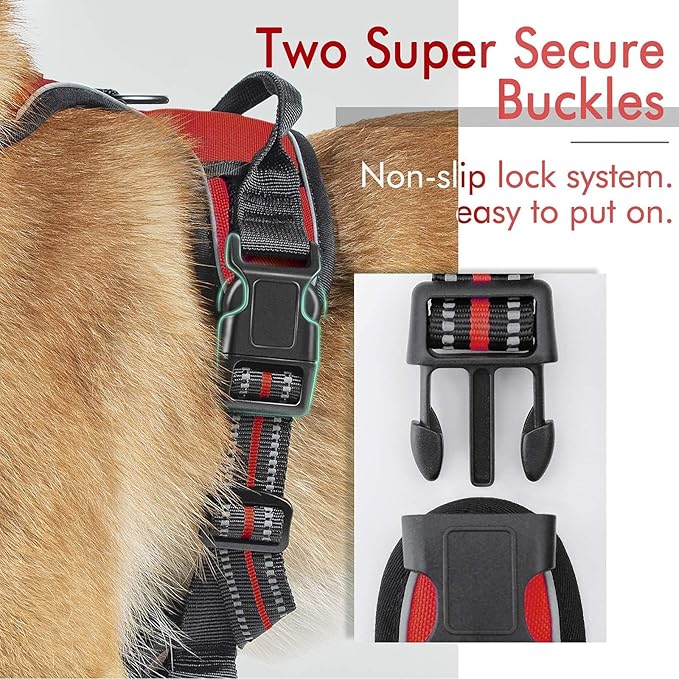 rabbitgoo Dog Harness 2 Leash