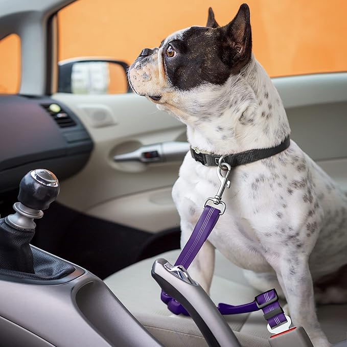 Adjustible Dog Car Harness