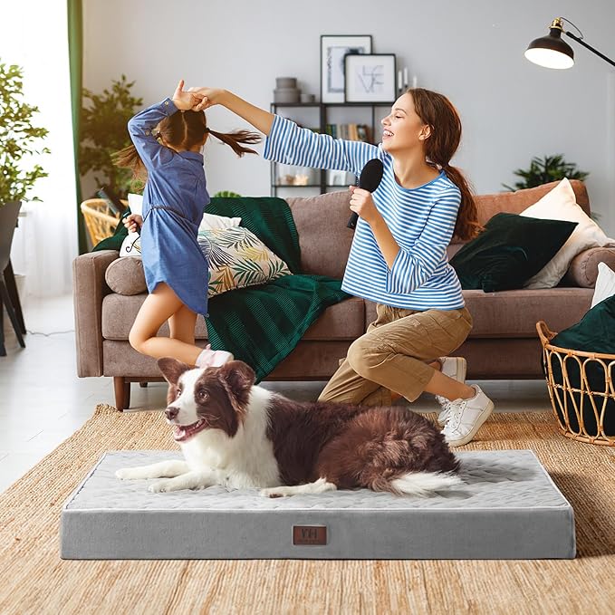 Orthopedic Dog Beds for Large Dogs with Removable Washable Cover 42 inch,
