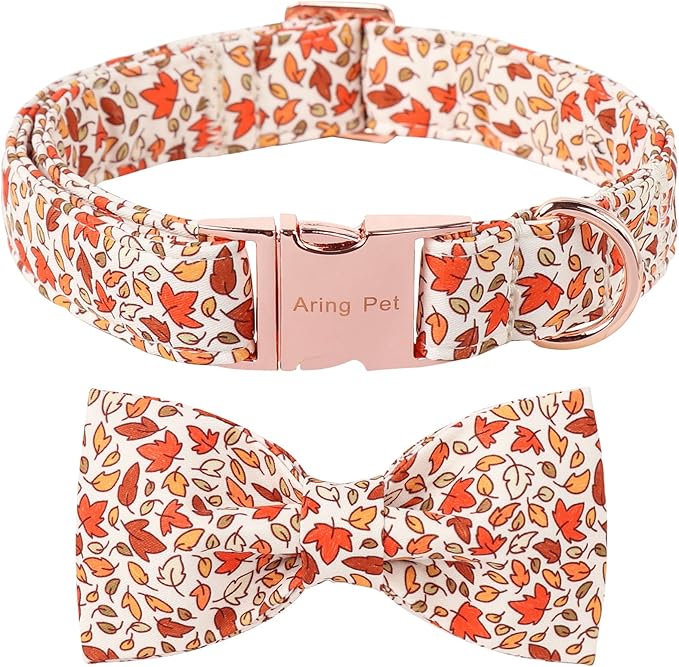 ARING PET Fall Dog Collar-Cute Maple Leaves Dog Collar with Bow
