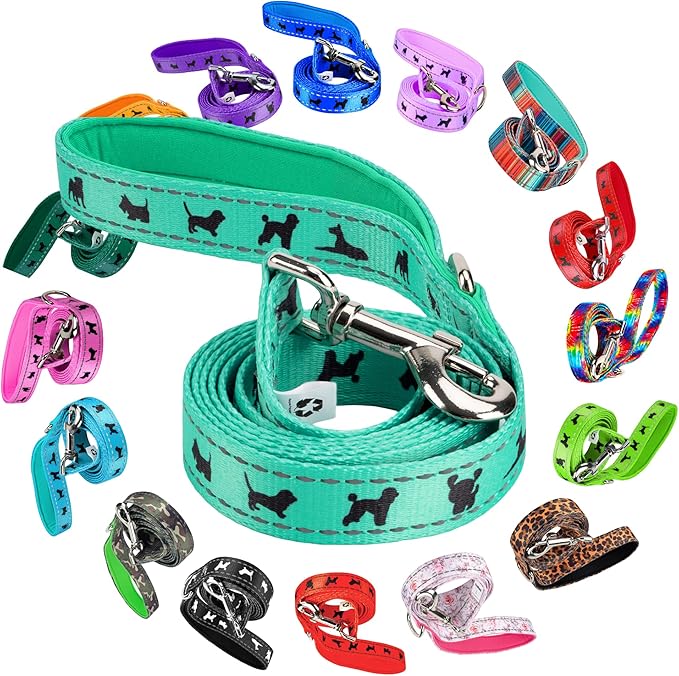 EcoBark Dog Leash - Soft & Reflective Comfort Training Leashes with Padded Handle - Strong Durable Heavy Duty - Training and Pulling for Small, Medium or Large Dogs (Turquoise)