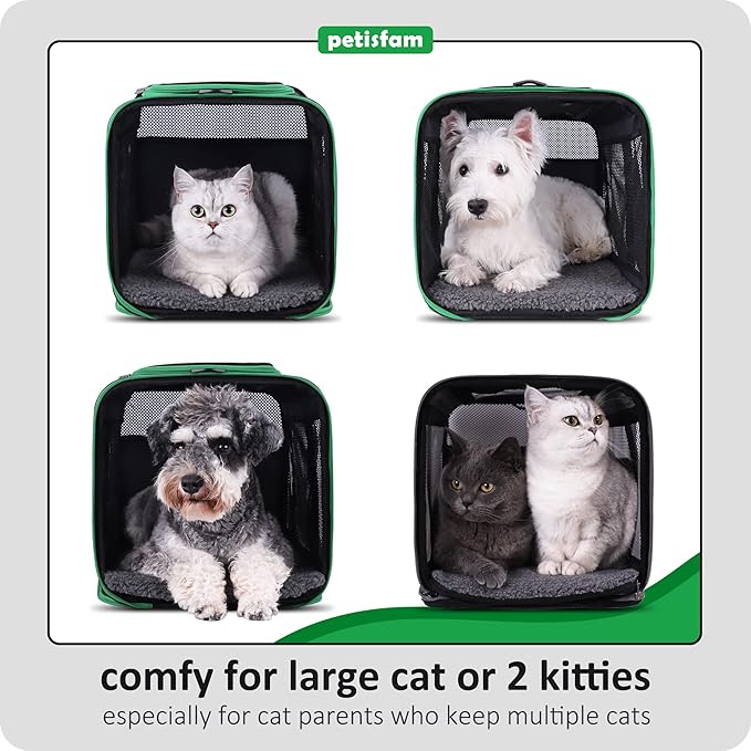 petisfam Easy Load Pet Carrier Bag for Medium or Large Cats with Durable Double-Thickness Fabric and Stable Structure. Black w/Green Trim, L