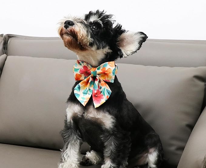 Unique Style Paws Cotton Dog Collar with Bow