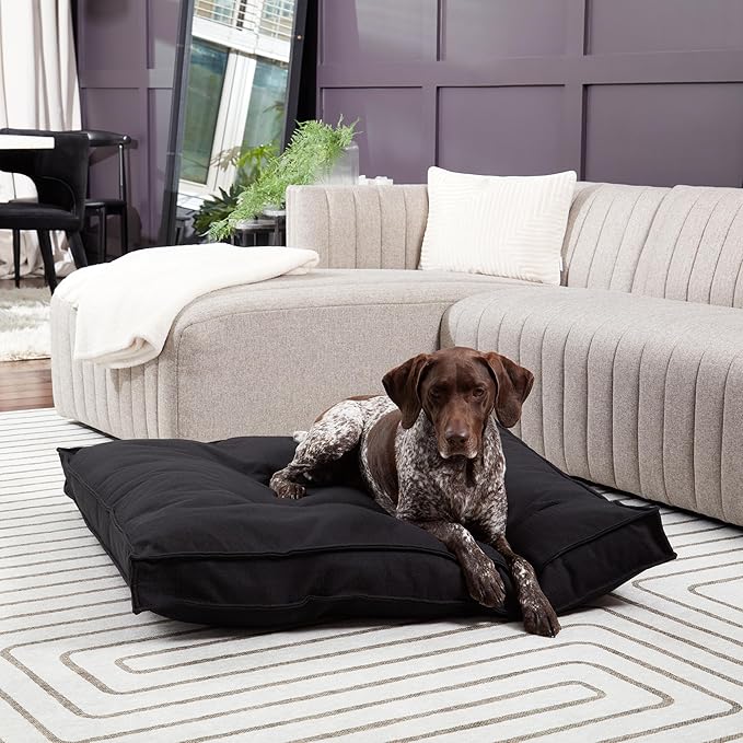 Happy Hounds Milo Square Tufted Pillow Dog Bed (40" x 40"), 40.0" 40.0" W 6.0" Th