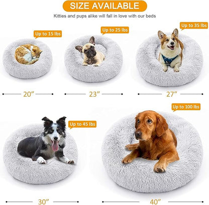 Geizire Cat Beds for Indoor Cats 24'' Washable