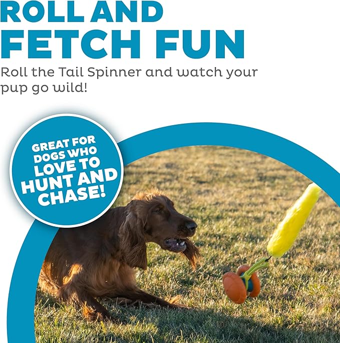 Outward Hound Tail Spinner Squeaky Dog Chase Toy with Furry Tail