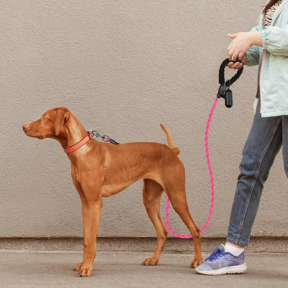 Heavy Duty Dog Leash for Large Medium Small Breed Dogs Handle,4/5/6 FT Holder,Pink,1/2 inch