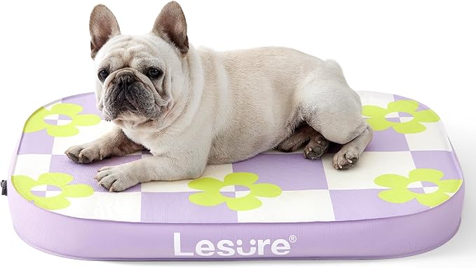 Lesure Inflatable Waterproof Dog Bed for Medium Dogs 3 Inch