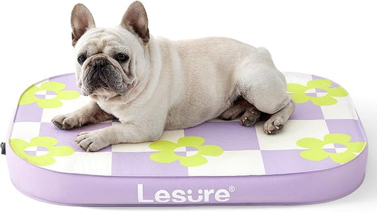 Lesure Inflatable Waterproof Dog Bed for Medium Dogs 3 Inch