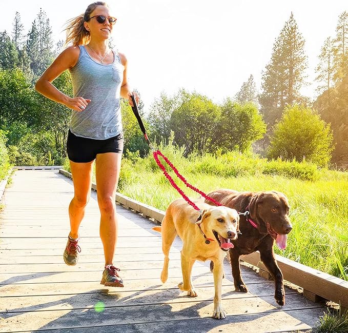 2 Dog Leash 360° Swivel 2 Dogs