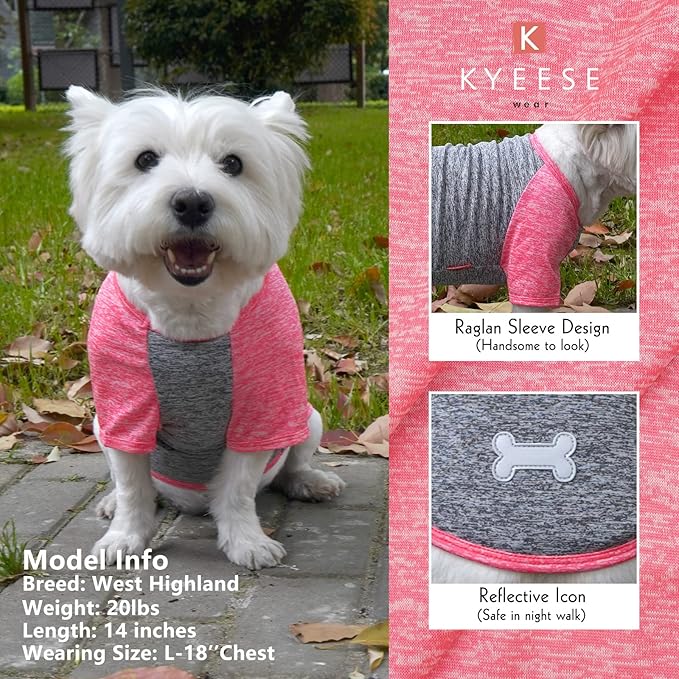 KYEESE 2 Pack Dog Shirts Quick Dry Lightweight Stretchy Protects Against Foxtails Dog T-Shirts with Reflective Label Raglan Sleeve Sun Protection Dog Clothes for Small Dogs