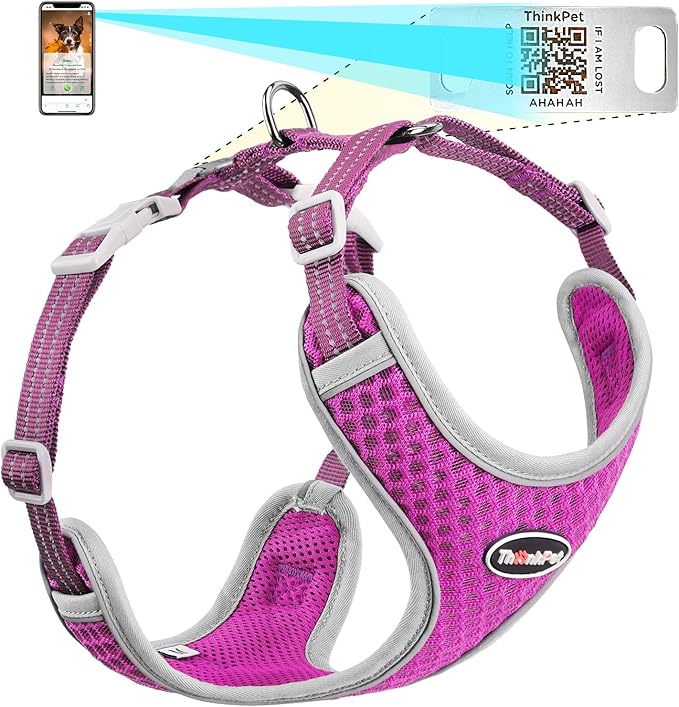 ThinkPet Reflective Breathable Soft Air Mesh with QR Code Dog Tag Puppy Choke Free Over Head Vest Harness for Puppy Small Medium Dogs and Cats Small Purple