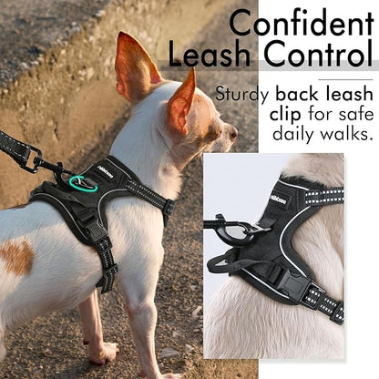 rabbitgoo Dog Harness 2 Leash