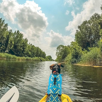 Queenmore Mermaid Dog Life Jacket