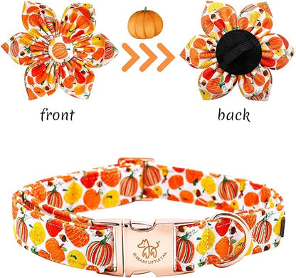 Elegant little tail Dog Collar with Flower