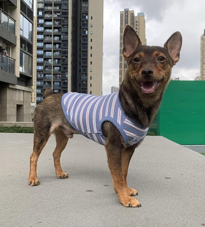 YQYS Dog Shirts Multi-Color Striped Cotton Vest for Small Dogs and Cats Puppy Clothes Teacup Dog Clothing Tank Top for Chihuahua Miniature Pinscher Blue XLarge